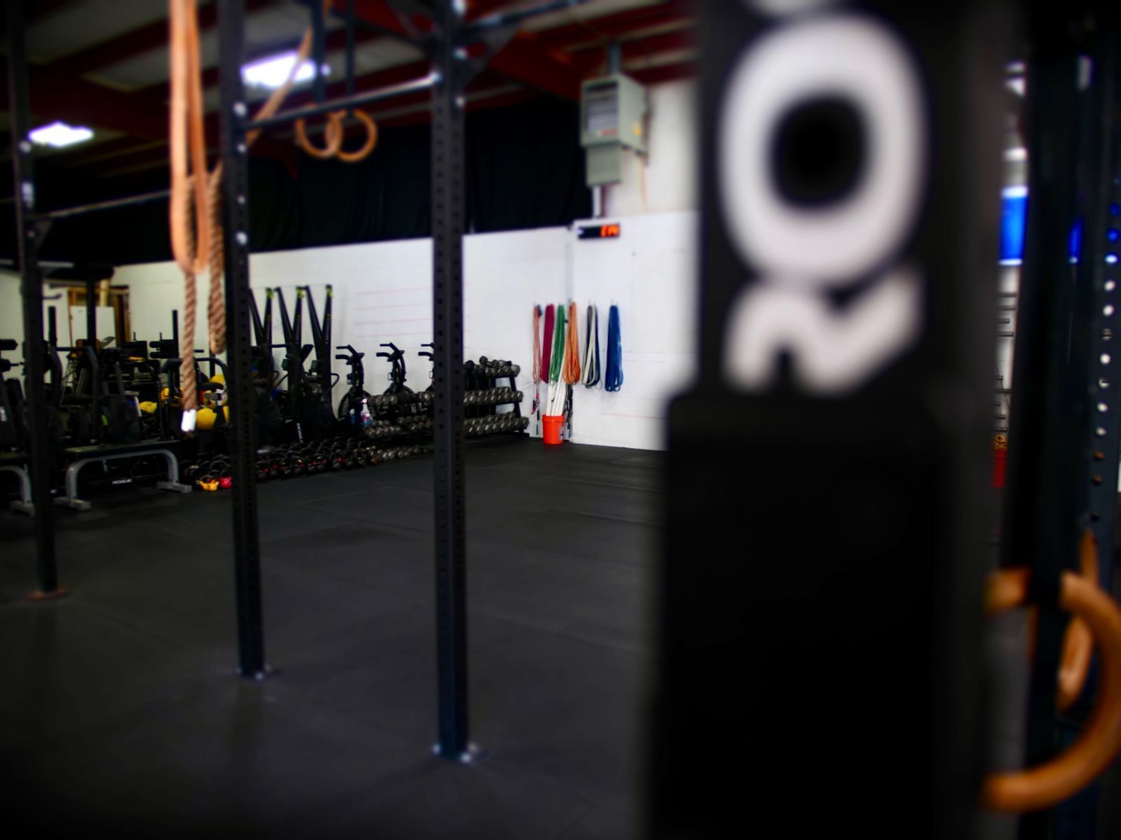 Open Gym
