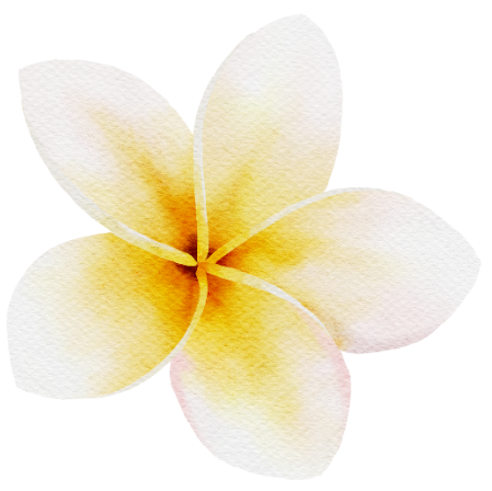 Ein Aquarell einer gelben und weißen Blume auf weißem Hintergrund.