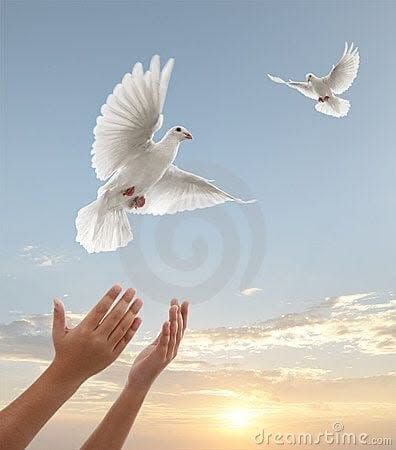 Hands reaching toward two white doves flying in a bright sky at sunrise.