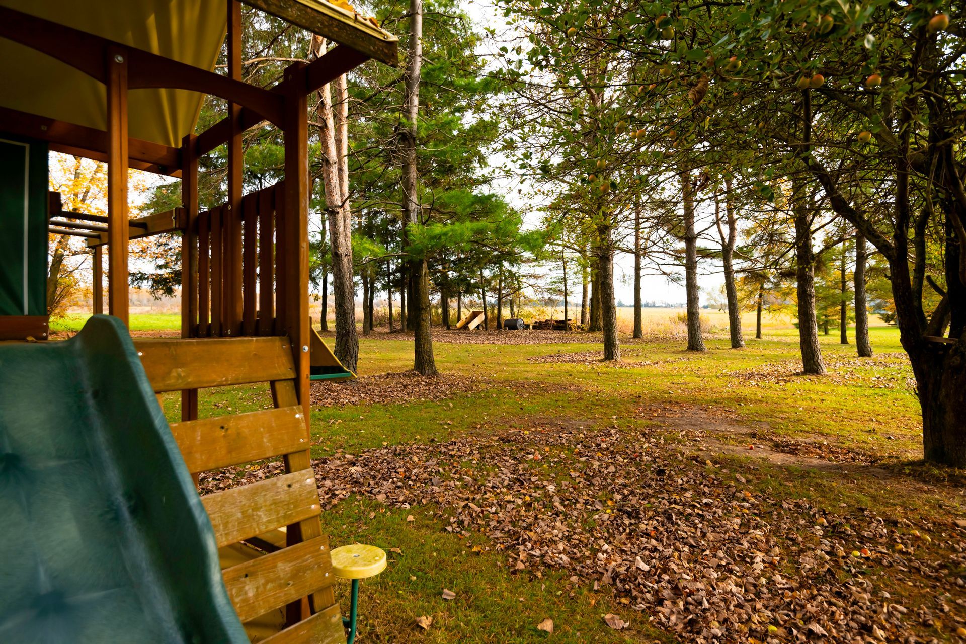 A playground with a slide and swings in the middle of a forest.