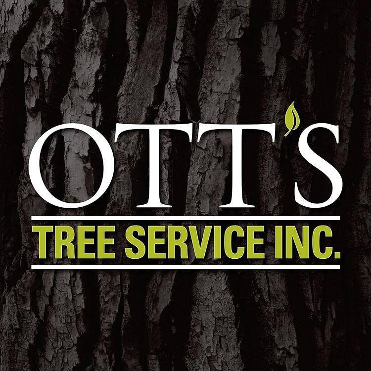 Ott 's tree service inc. logo with a tree in the background