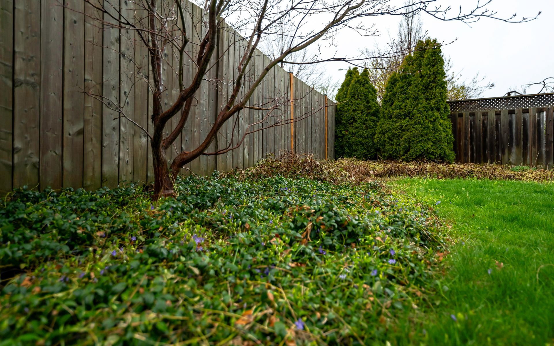 A wooden fence surrounds a lush green yard.