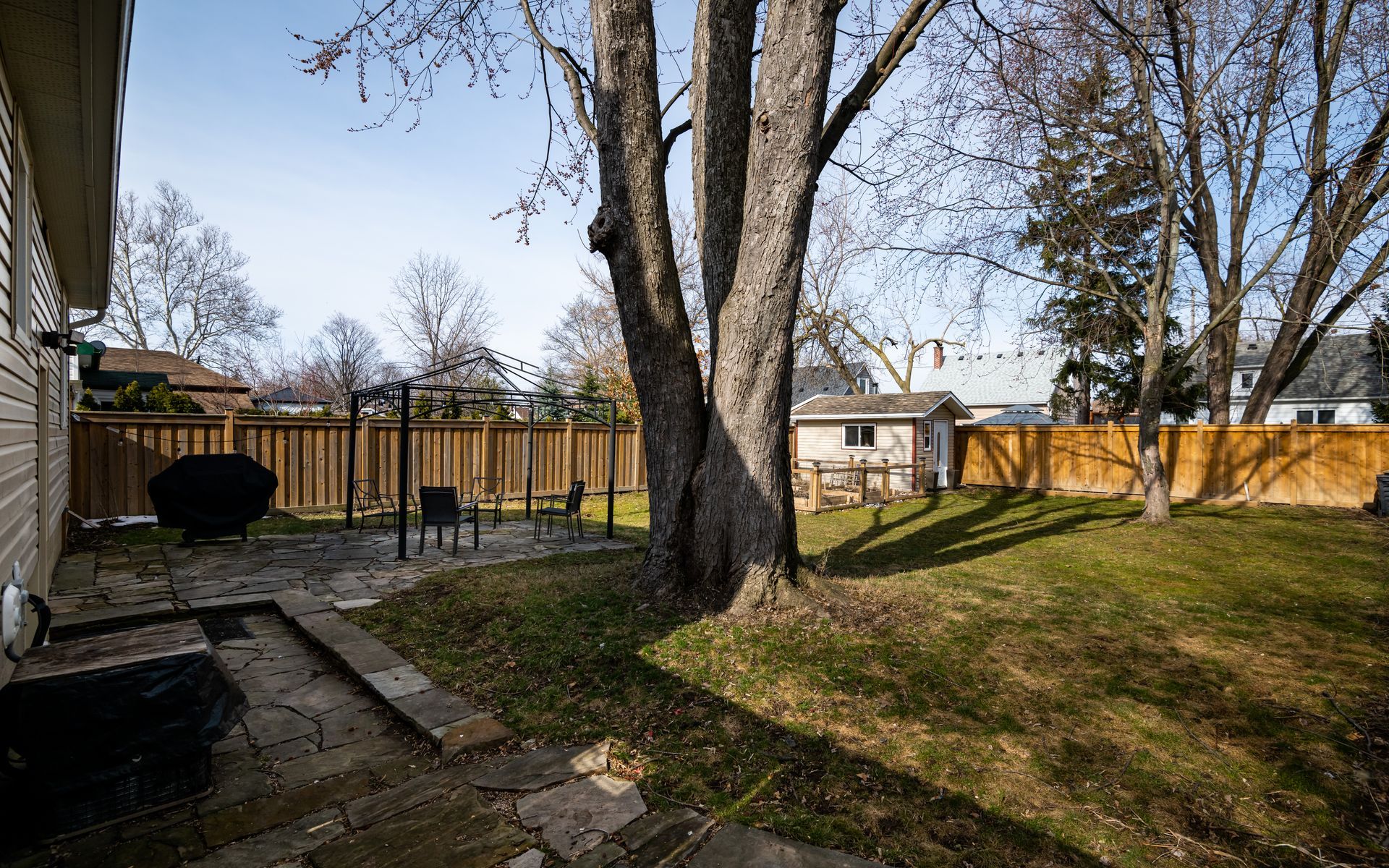 The backyard of a house with a large tree in the middle of it.
