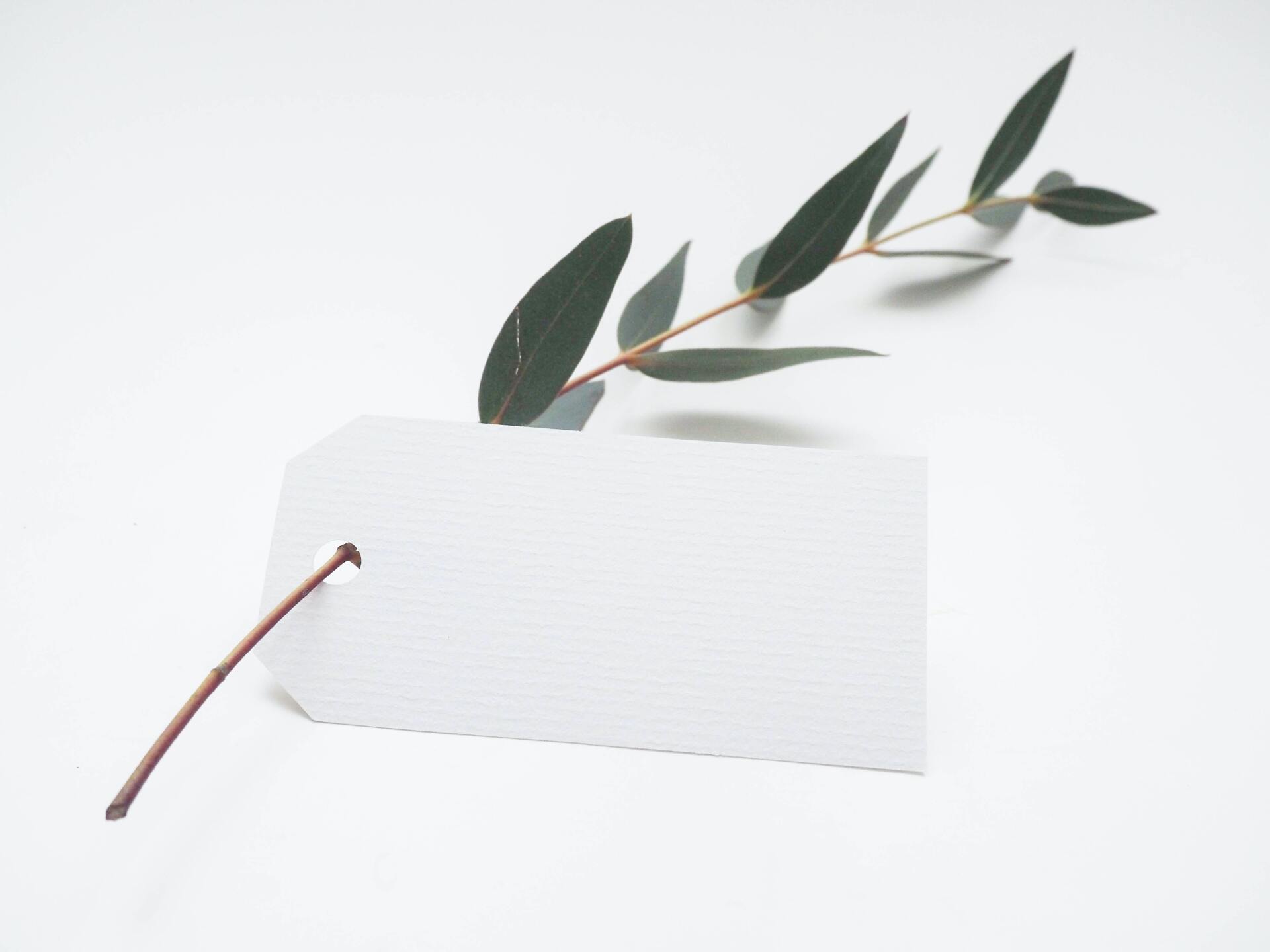 A white tag with a branch attached to it