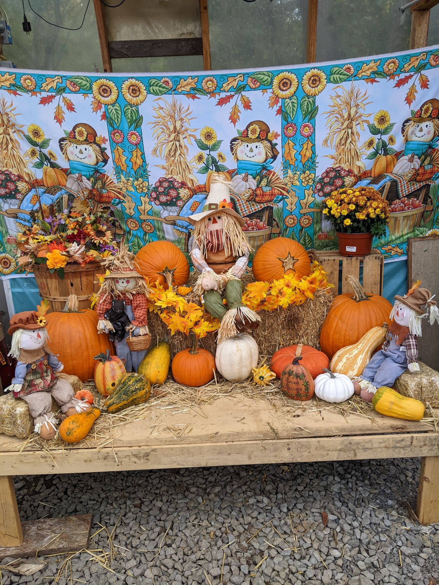 Fall display featuring pumpkins, gourds, scarecrows, and hay bales in front of a sunflower-themed backdrop.