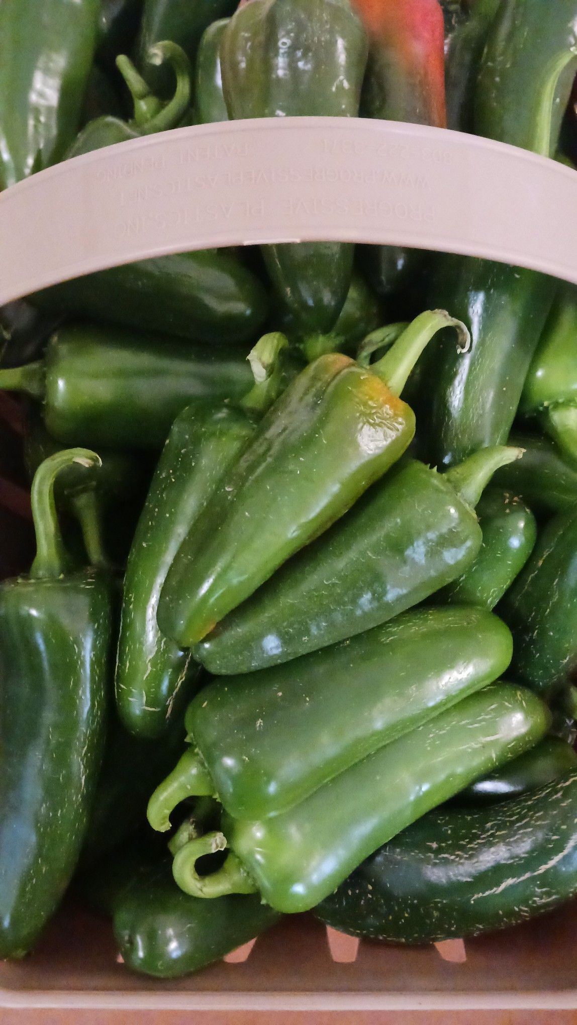 Green poblano peppers in a wicker basket.