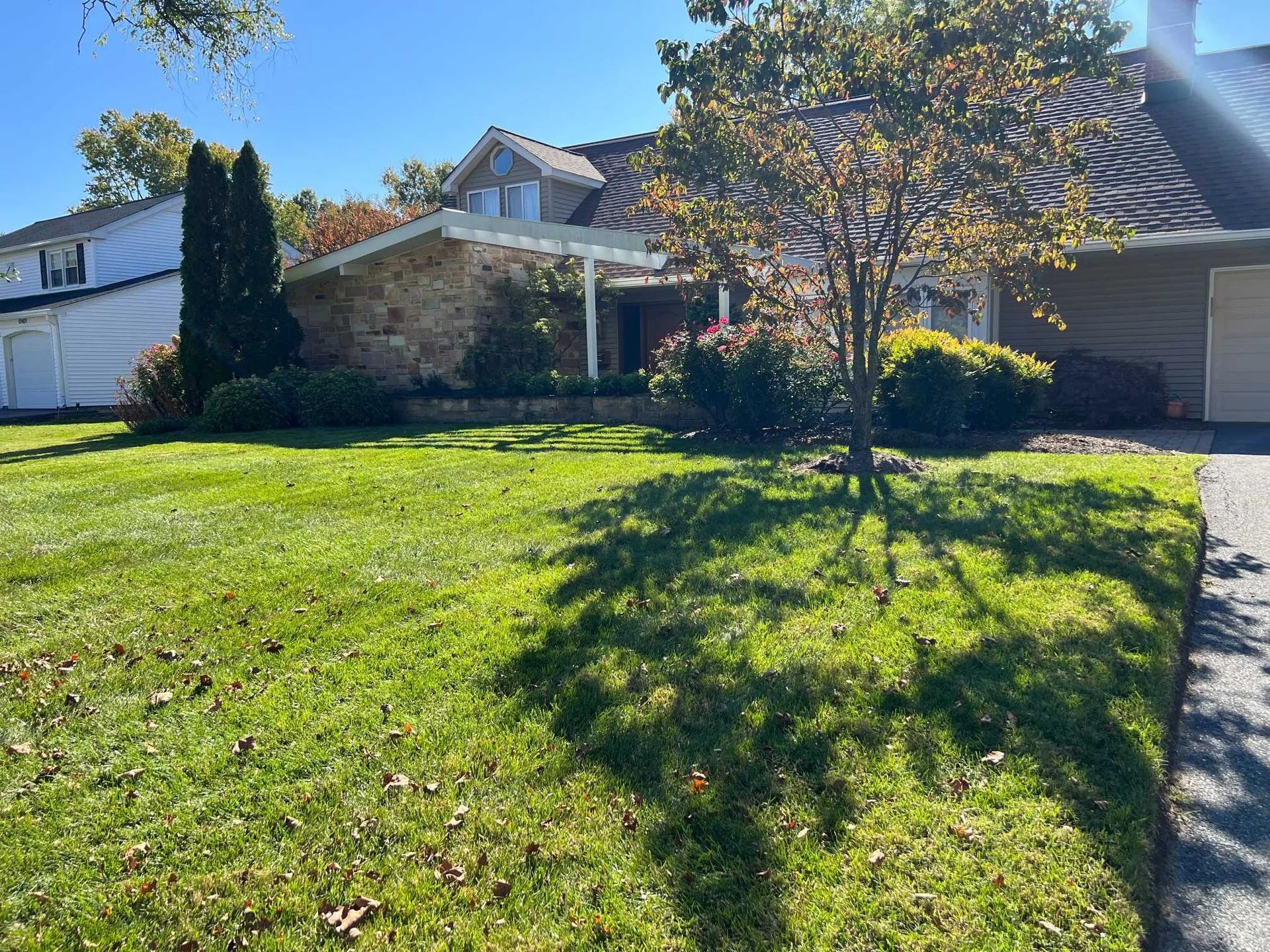 Suburban house with a green lawn, trees, and bright sunlight in the front yard