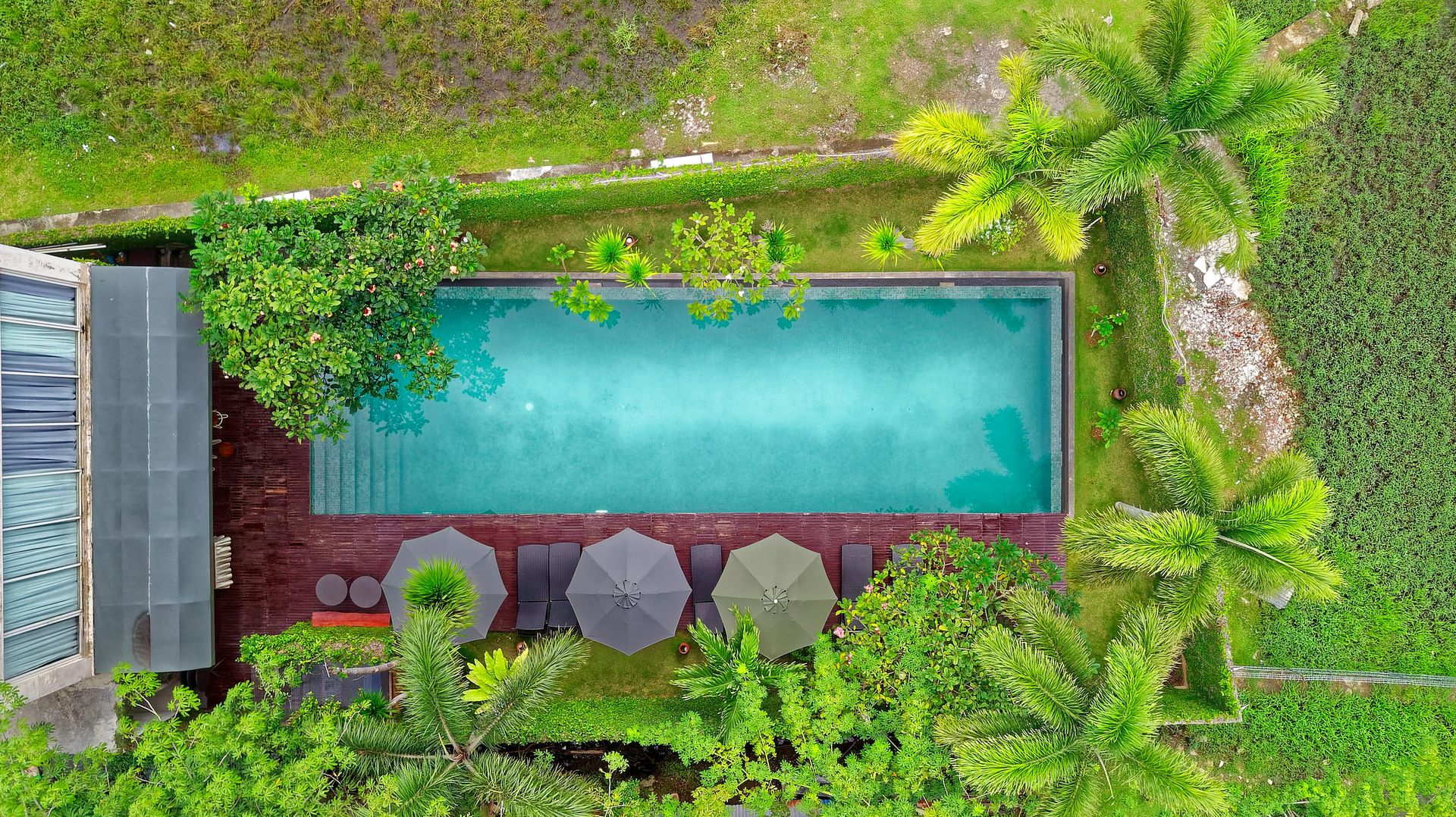 Aerial view of a rectangular turquoise pool surrounded by greenery, palm trees, and shaded seating.