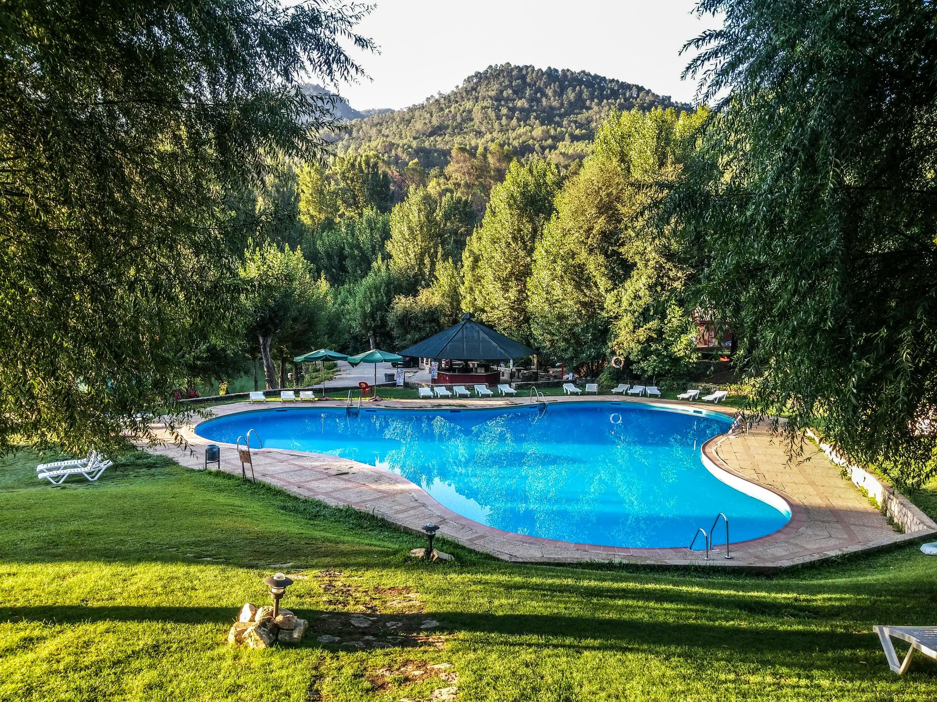 Swimming pool surrounded by green grass and trees, mountain in the background.