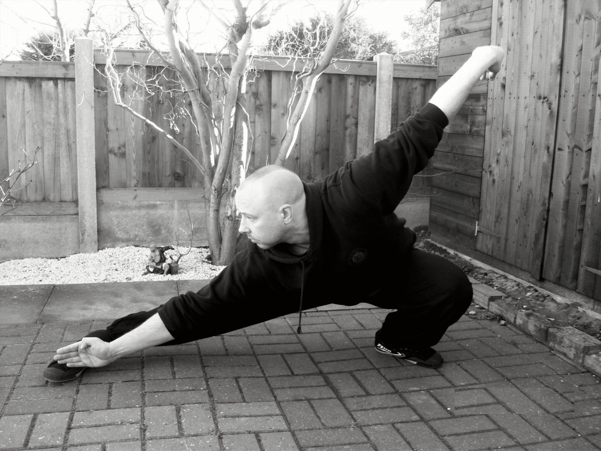 Shifu Gary Matthews, Mizong quan / yanqing quan