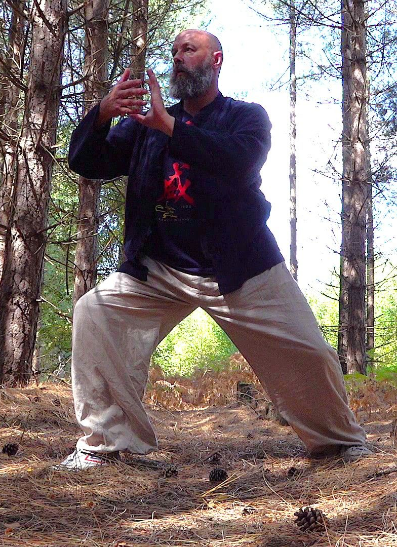 Master Lu Jun Hai Yang Tai Chi