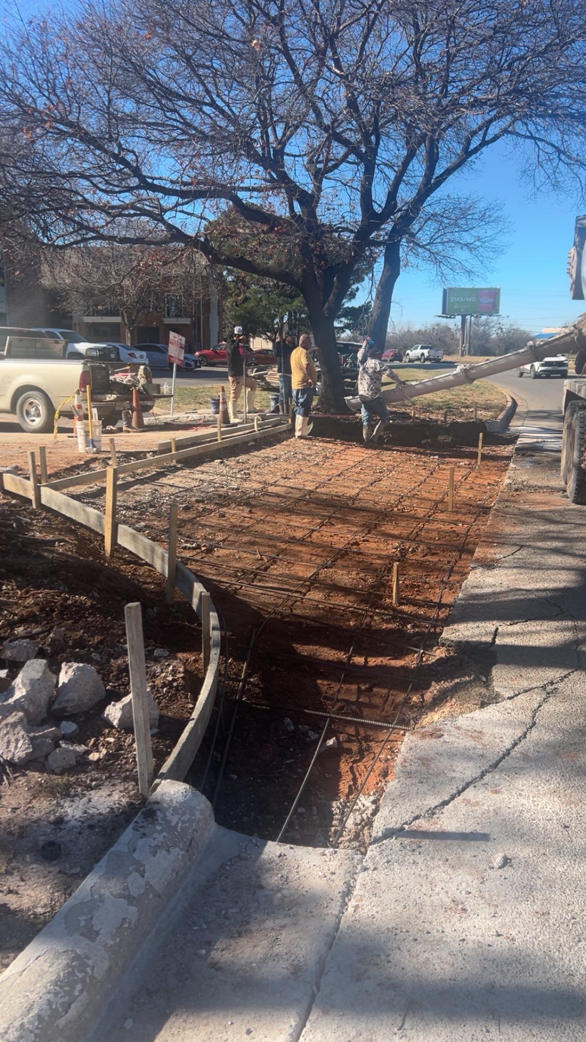 Construction site: curb and sidewalk work in progress. Dirt, wooden forms, workers, and a large tree are visible.