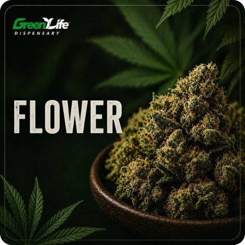 Cannabis plant with dense green and purple buds, set against a white background.