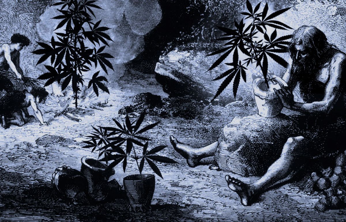 DC cannabis delivery