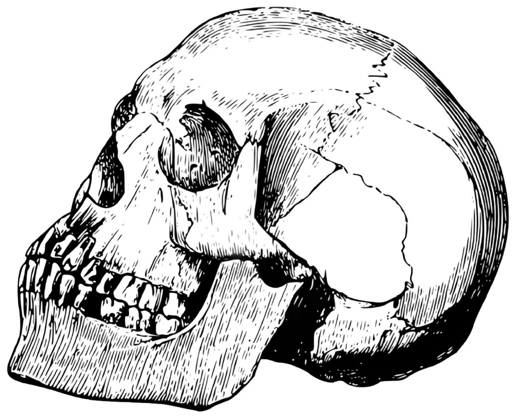 turban and skull pressure points