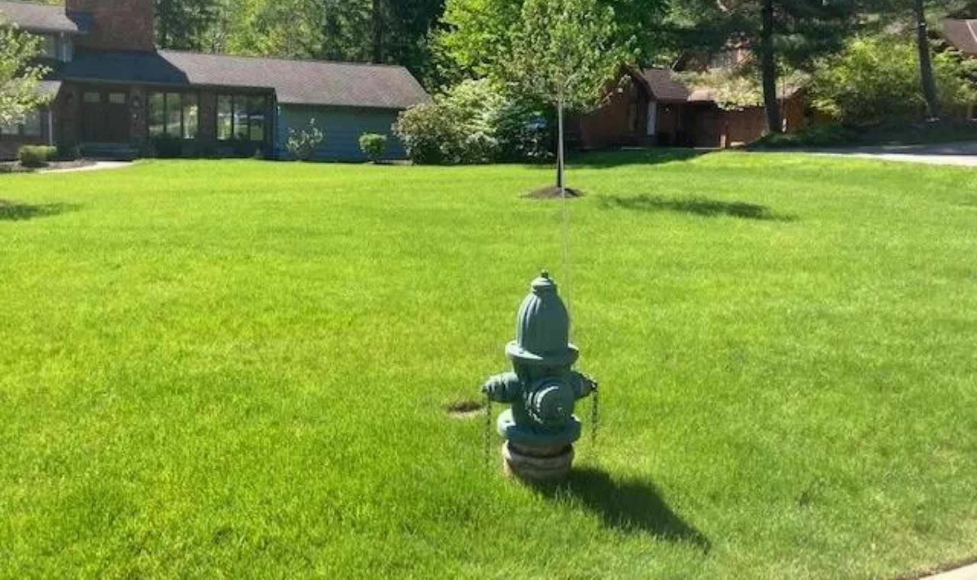 Fire hydrant on a bright green lawn with houses and trees in the background