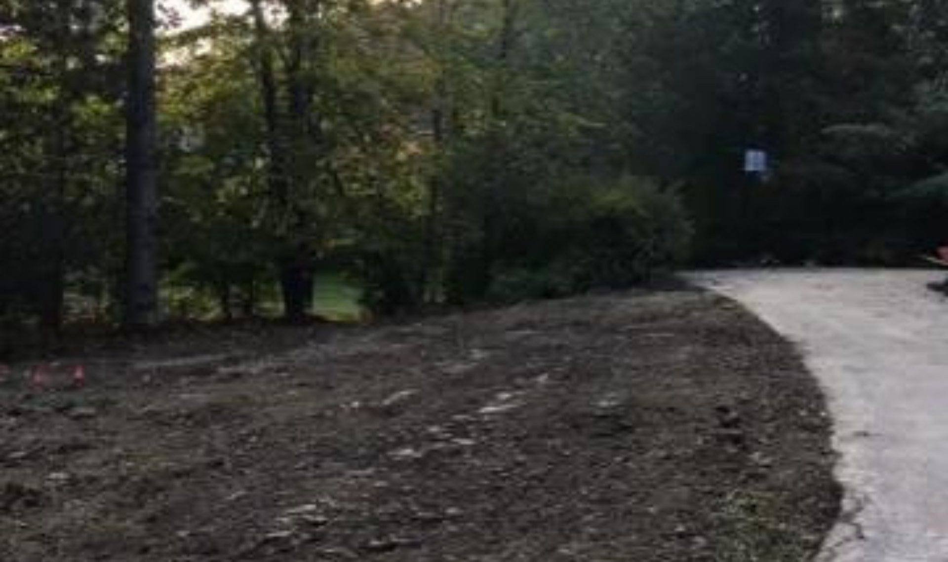 Wooded trail with a paved path curving right beside trees and dirt ground