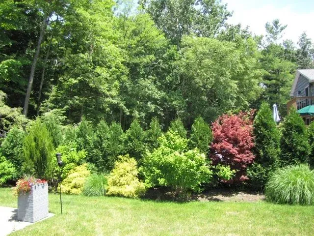 Lush green garden with dense trees, shrubs, a red bush, and a small house in the background