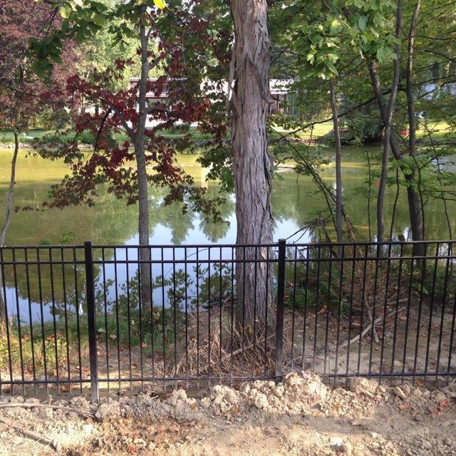 Black metal fence in front of a pond with trees and green foliage in a wooded area