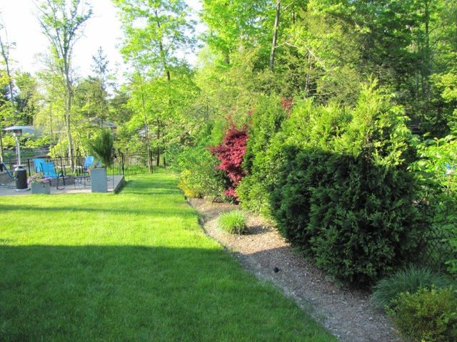 Sunny park with green lawn, trees, and colorful shrubs beside a gravel border