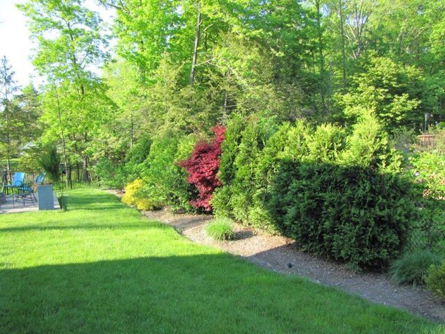 Sunny garden path with green trees, manicured bushes, and a red flowering shrub