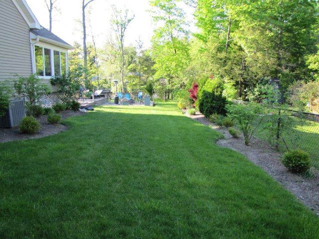 Backyard lawn beside a house, bordered by shrubs and trees in bright daylight