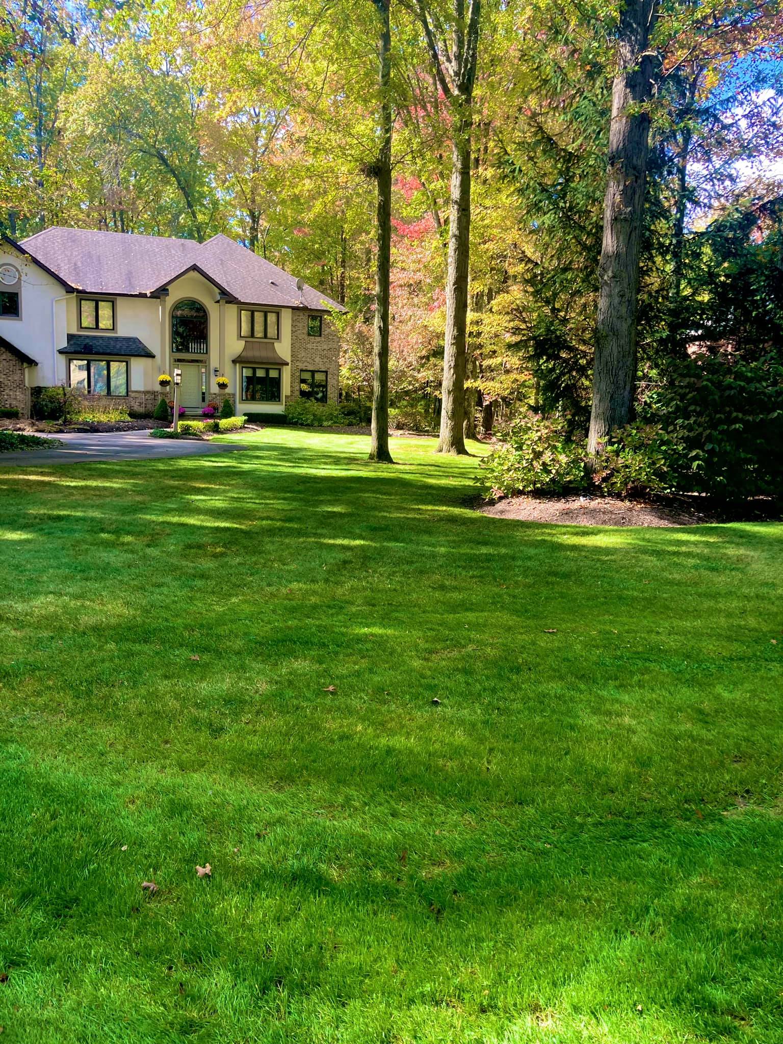 House with a large green lawn and tall trees in a wooded yard