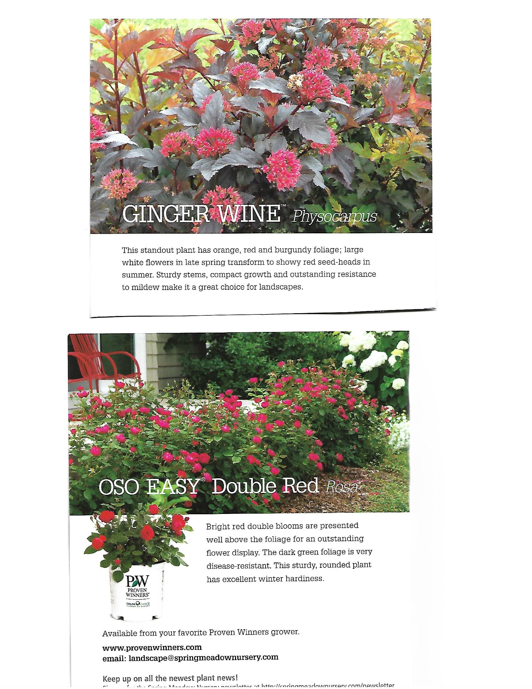 Two gardening brochure pages with colorful flower photos and small text blocks