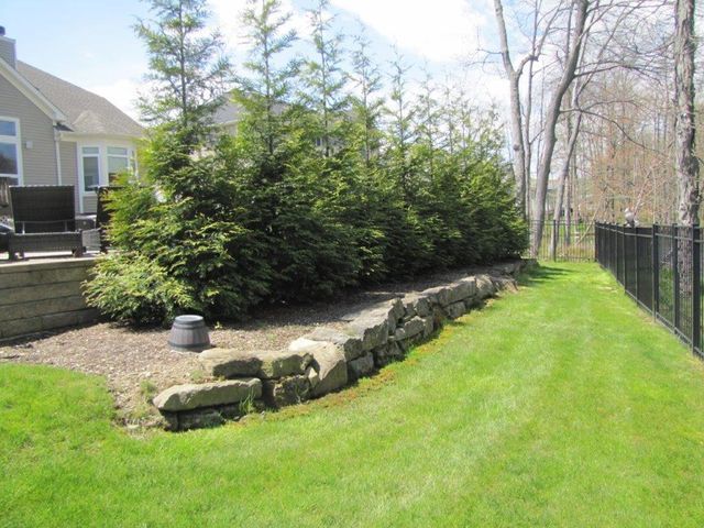 Landscaped backyard with evergreen shrubs, stone border, green lawn, and a house and fence in the background