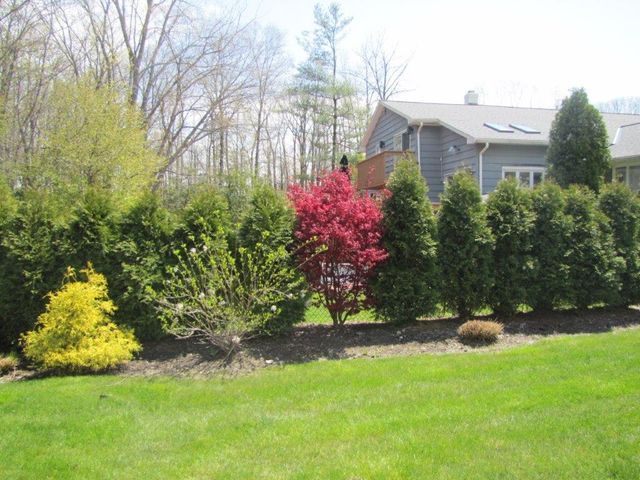 Landscaped backyard with green lawn, shrubs, and a house in the background