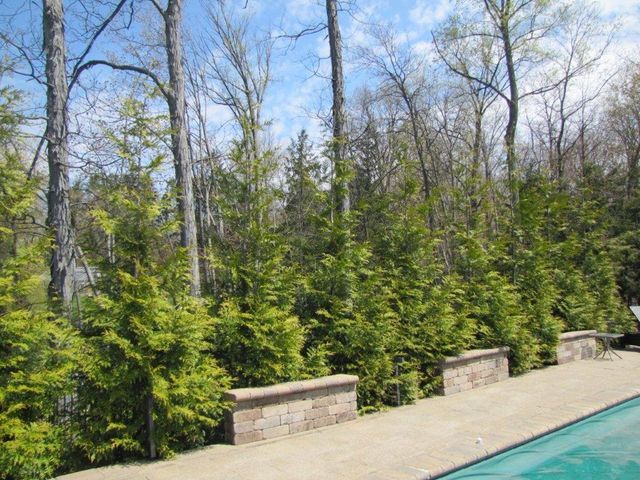 Backyard pool beside a stone patio with green trees and bare branches in the background