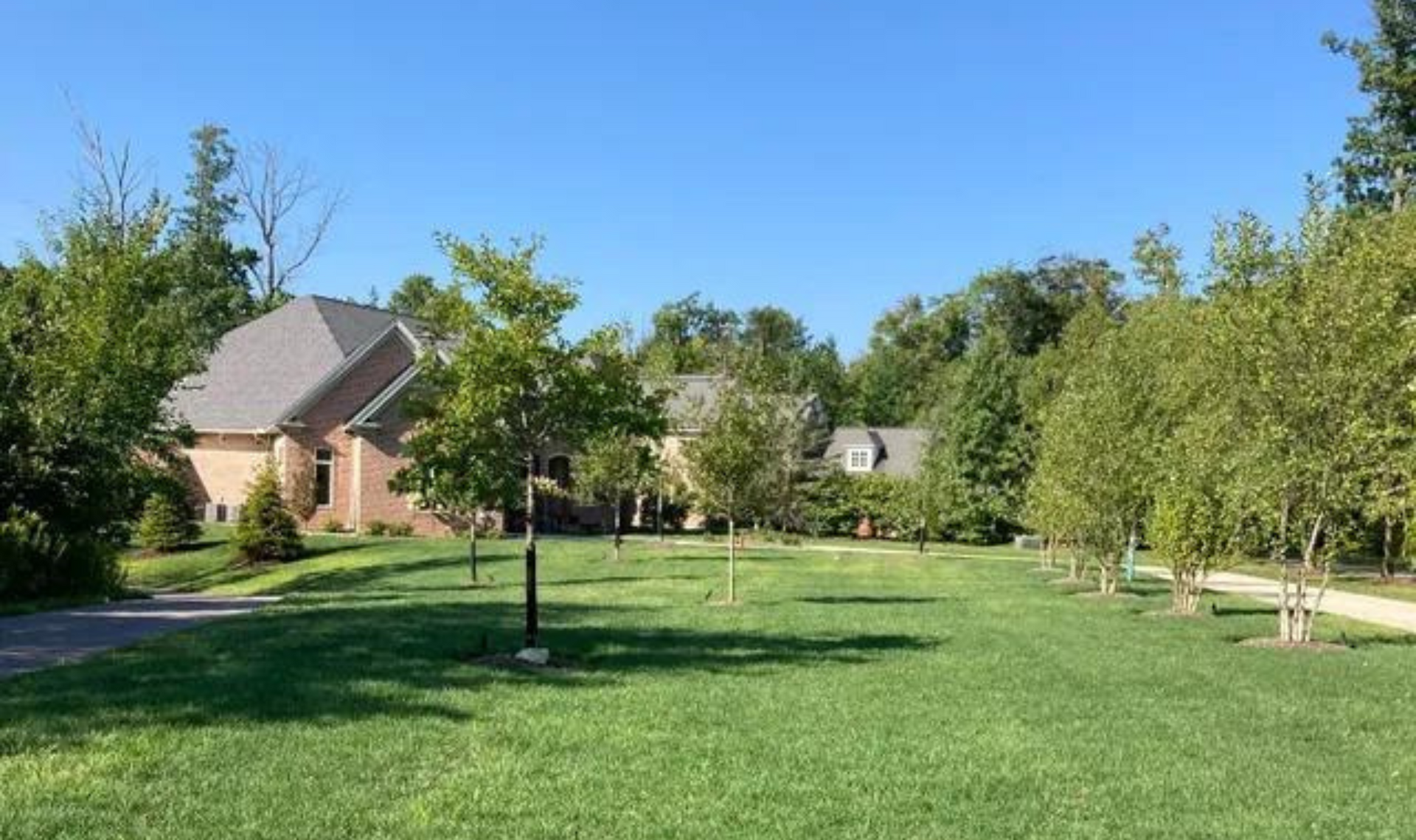 Sunny park with green lawn, trees, a lamppost, and a brick house in the background