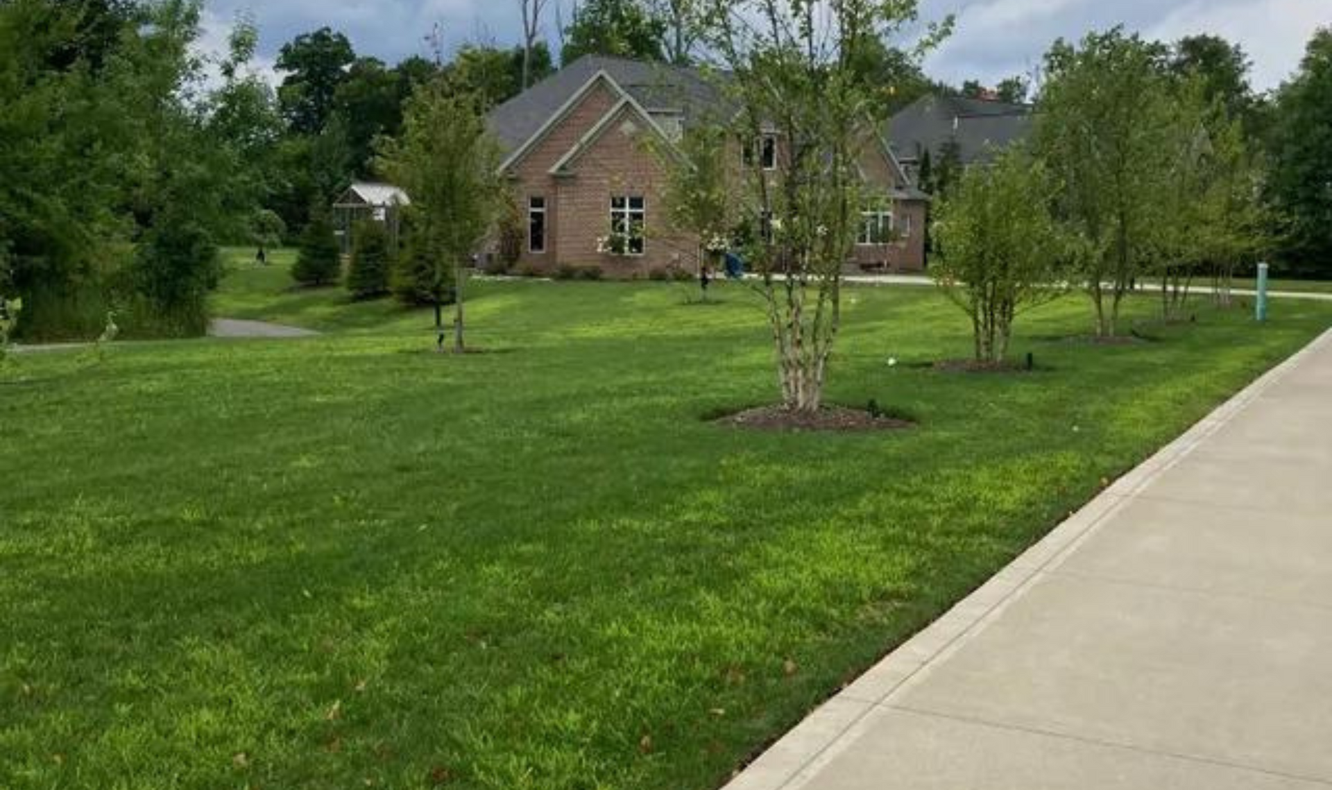 Brick house with a green lawn and young trees beside a sidewalk