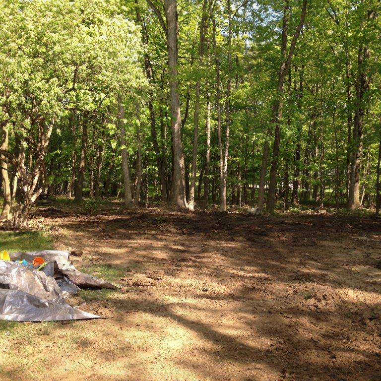 Wooded clearing with tall trees and a tarp-covered pile on the left