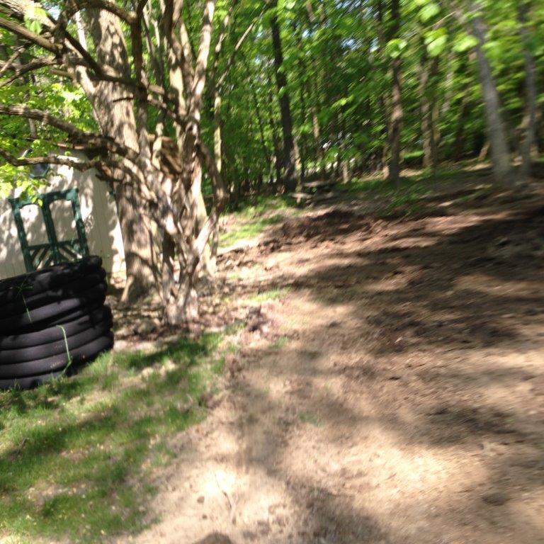 Wooded dirt path beside a tree and stacked black tires, with sunlight filtering through green trees.