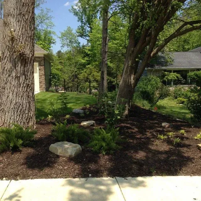 Landscaped front yard with trees, shrubs, rocks, and a sidewalk in bright sunlight