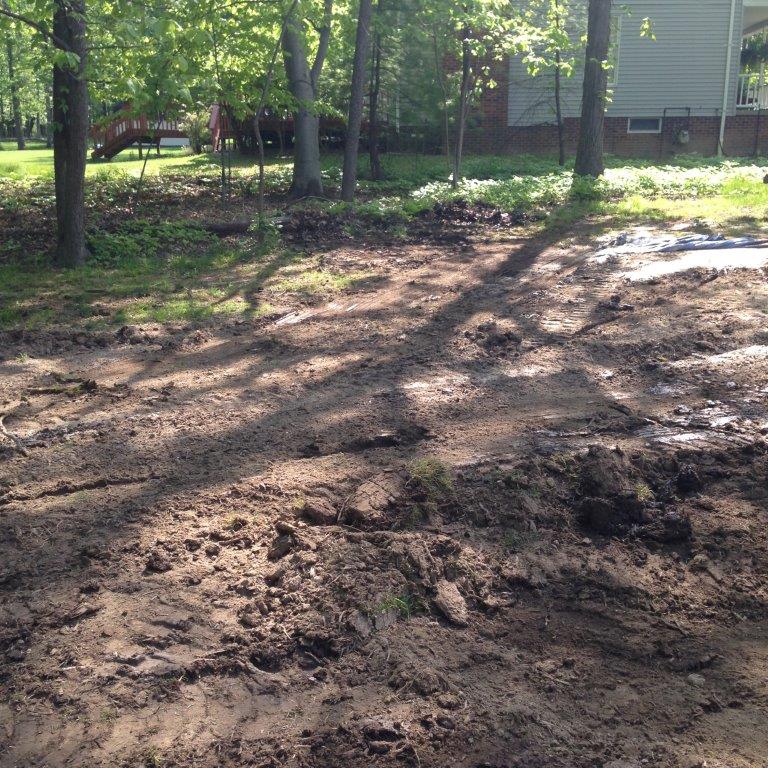 Muddy backyard with tree shadows and a house in the background