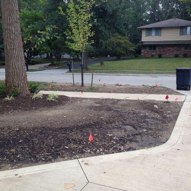 Front yard with new concrete walkway, bare soil, small flagged markers, and a quiet suburban street.
