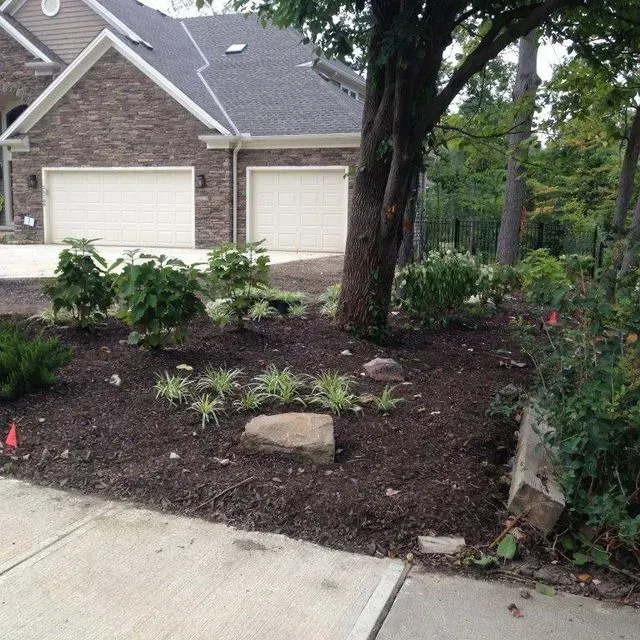 Front yard landscaping with mulch, shrubs, a tree, and two garage doors by a driveway