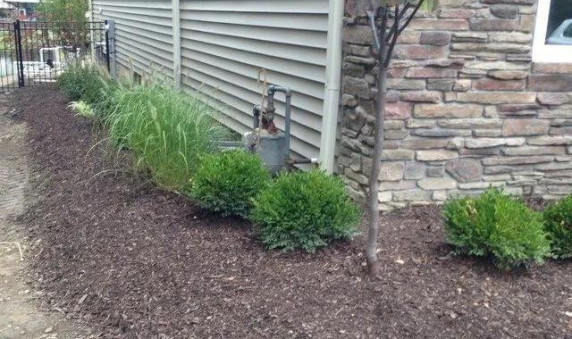 Mulched landscaping bed beside a house with green shrubs and a stone wall