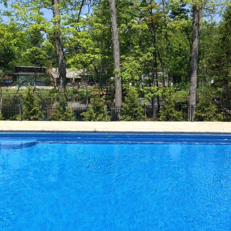 Blue swimming pool with trees and a fence in the background