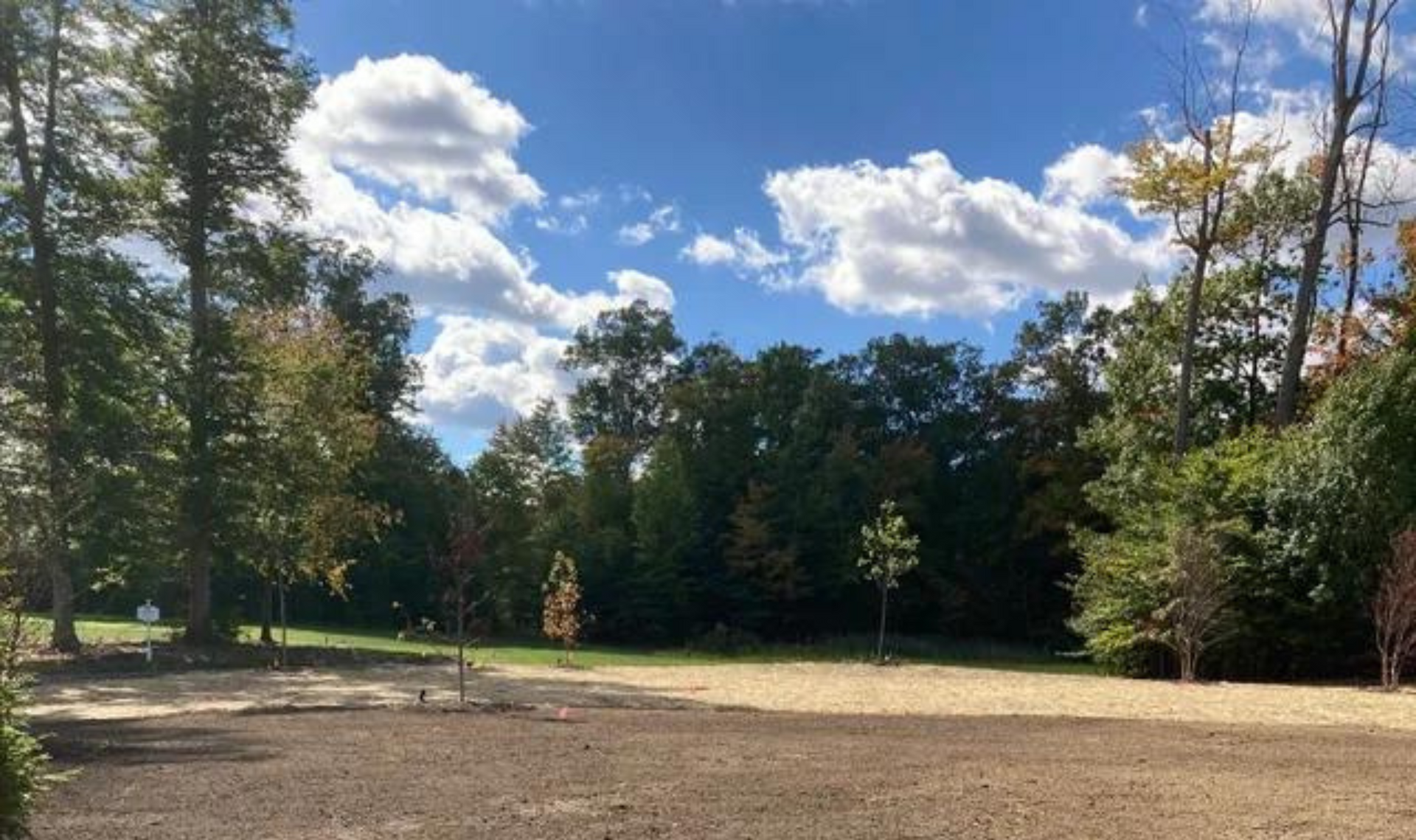 Open grassy field with trees and a bright blue sky with scattered clouds