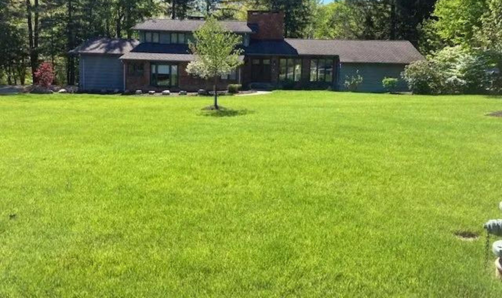 Wide green lawn with a house and trees in the background on a sunny day