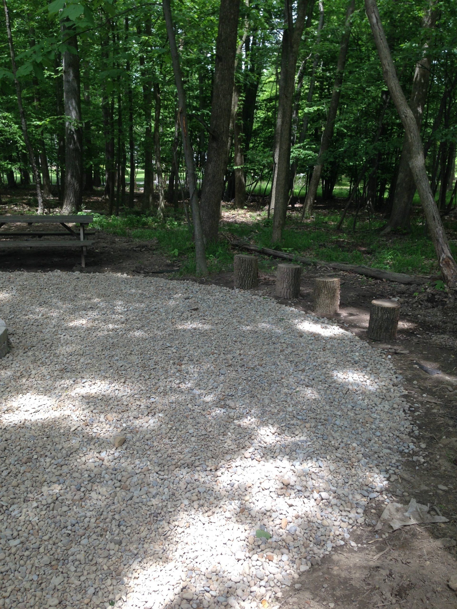 Gravel path in a wooded park with trees, benches, and dappled sunlight