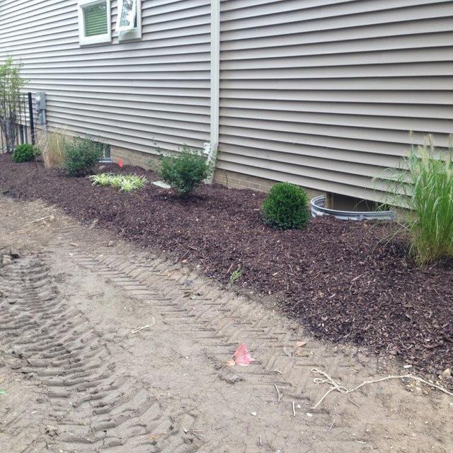 Mulched garden bed along a house with small shrubs beside a dirt driveway and siding