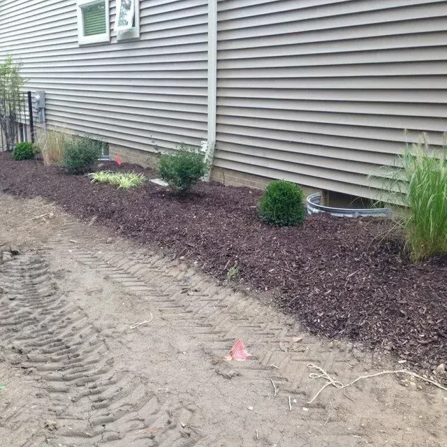 Mulched foundation bed beside gray house siding with small shrubs and ornamental grasses along a dirt drive