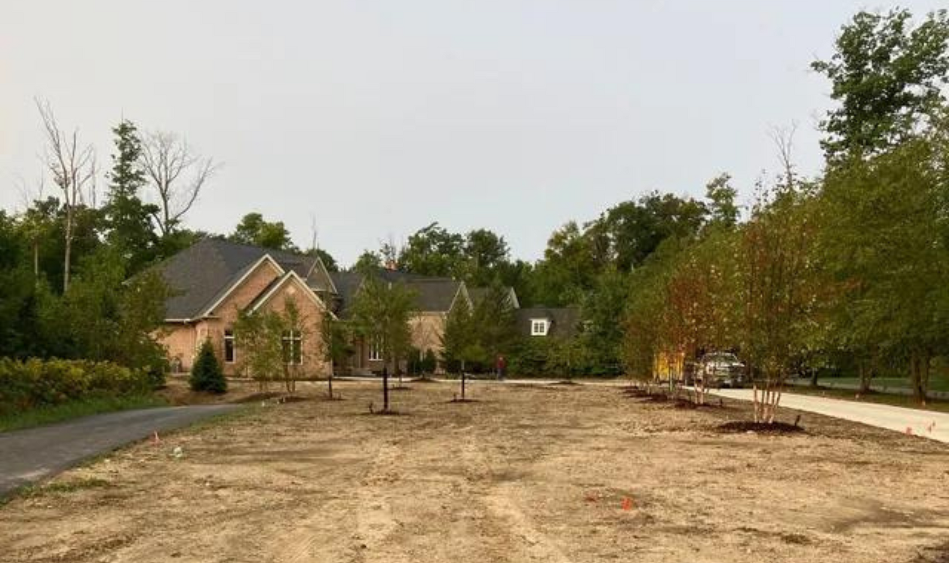 Wide sandy park path with young trees, benches, and houses in the background