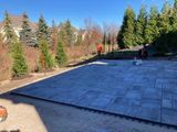Large flat-roof surface in a wooded outdoor area under clear blue sky