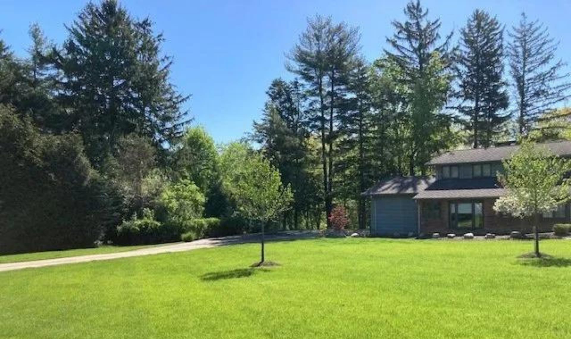 Sunny green lawn with tall trees and a blue house in the background