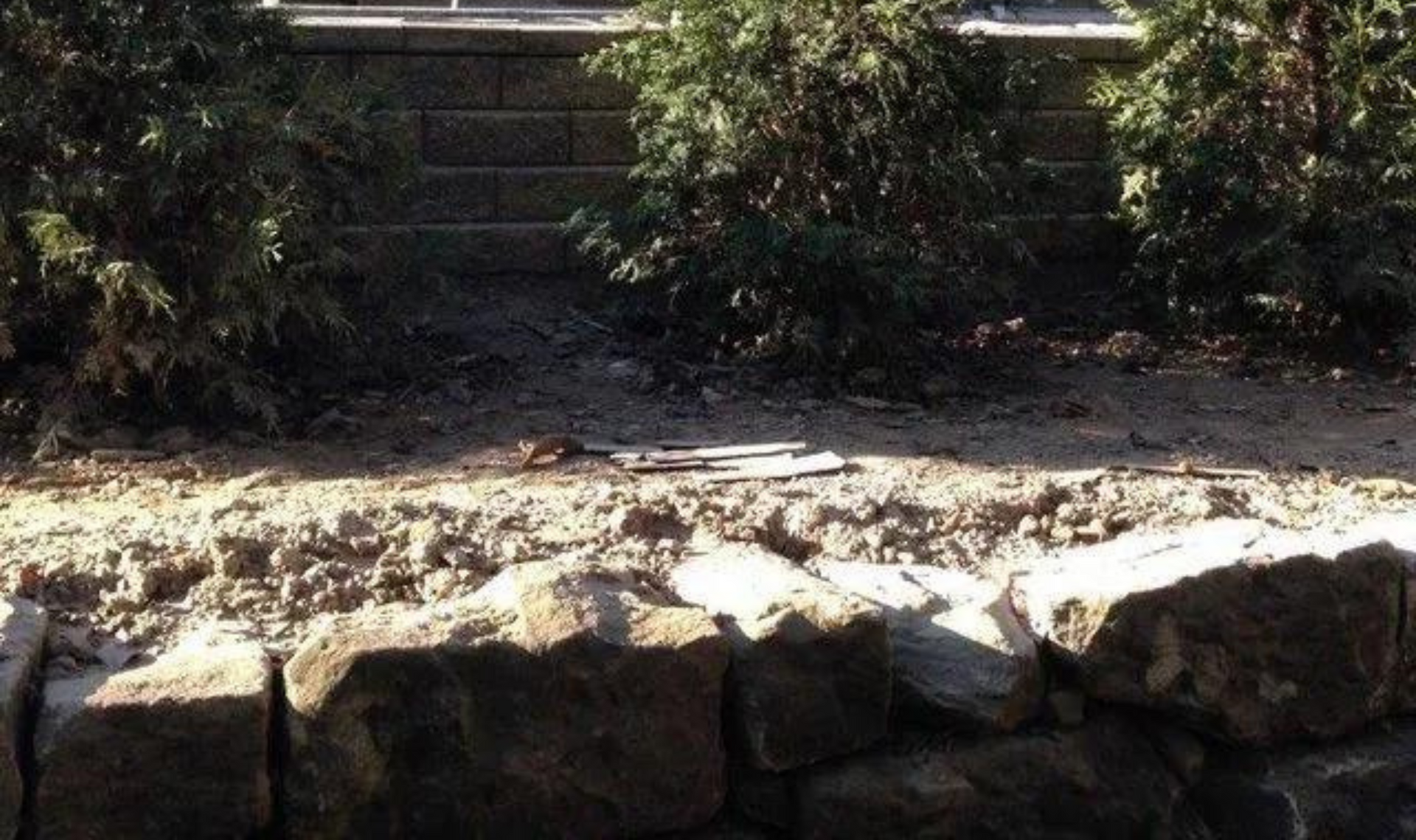 Stone steps leading to a shaded garden wall with dense green shrubs and sunlight on the ground